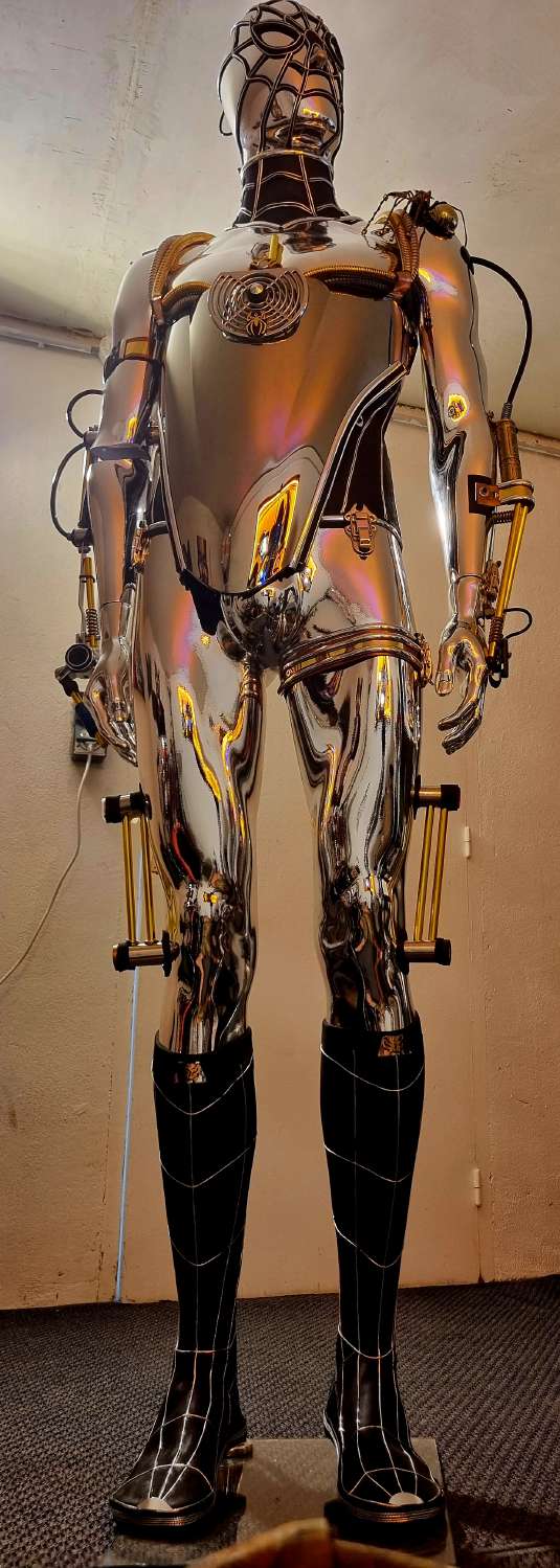 Spider Cyborg
